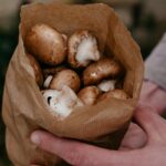 Hongos comestibles y su beneficio para la salud